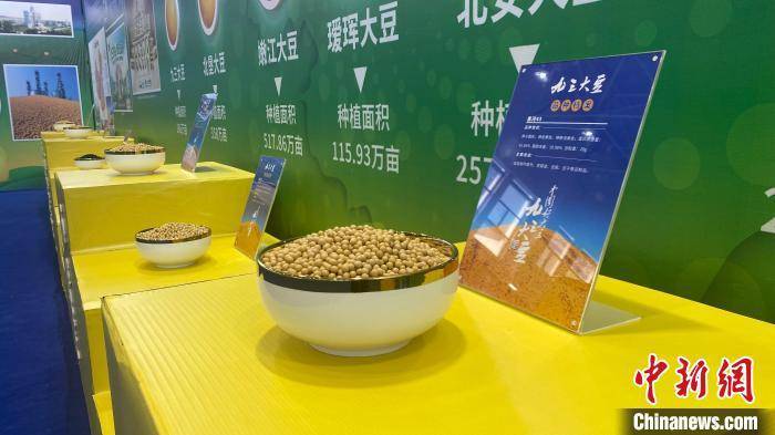 “中国绿色大豆之都”举行“大豆节” 共话大豆产业发展