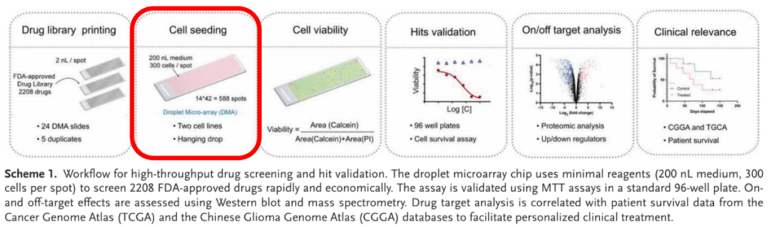 =在细胞量不足的情况下如何筛选2208种药物？---DMA平台搭配I.DOT